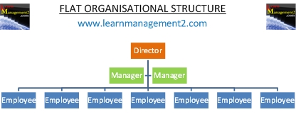 Flat Organisational Structure Diagram