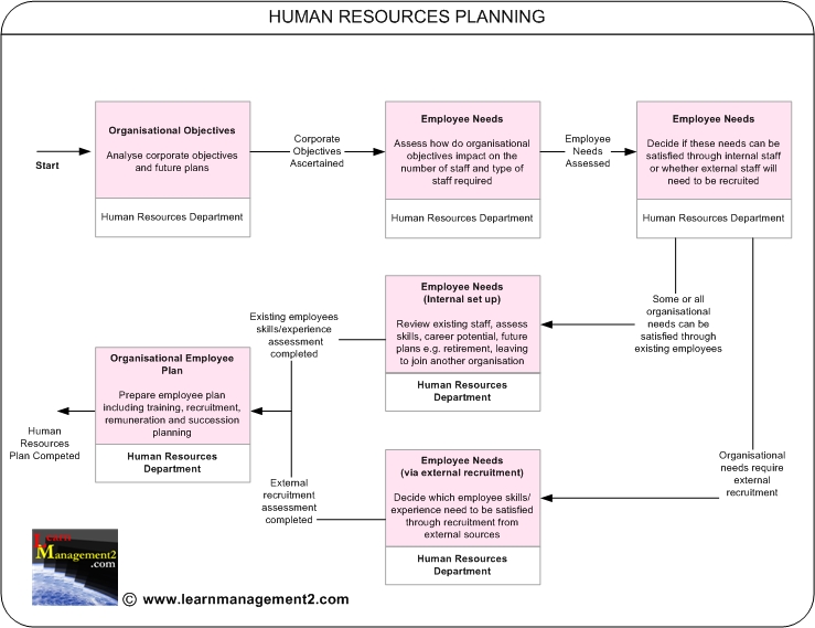 HR диаграмма. Экстернал стафф. HR Plans include. Diagram Manager HR sales.