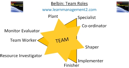 Belbin Team Roles