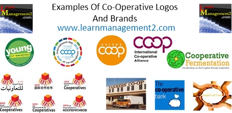 Co-Operatives Diagram
