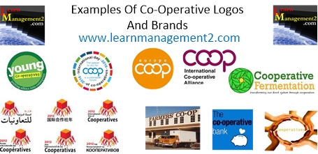 cooperative examples of businesses