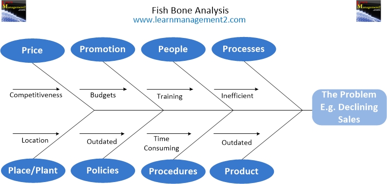 Fish Bone Analysis Diagram