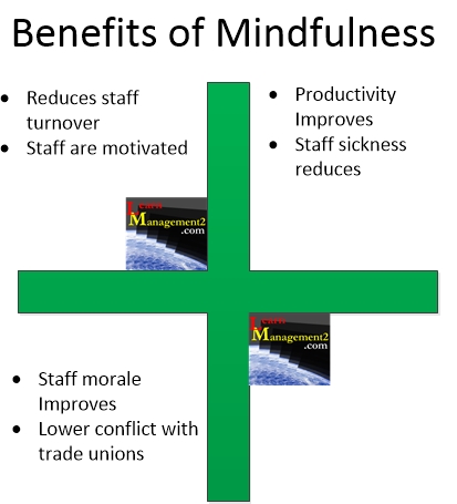 Mindfullness Interest